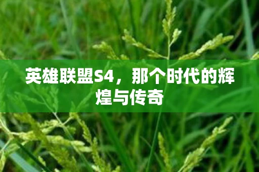 英雄联盟S4，那个时代的辉煌与传奇
