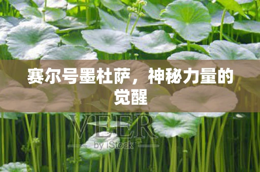 赛尔号墨杜萨，神秘力量的觉醒