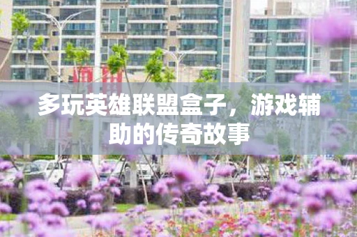 多玩英雄联盟盒子，游戏辅助的传奇故事