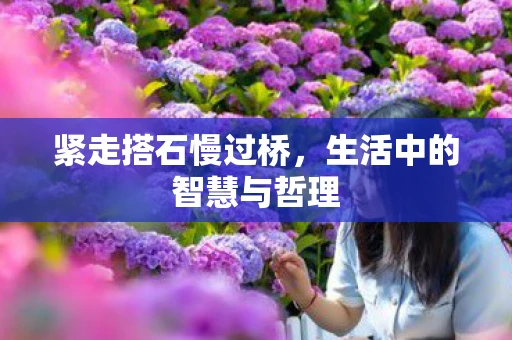 紧走搭石慢过桥，生活中的智慧与哲理