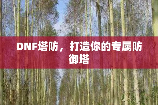 DNF塔防，打造你的专属防御塔