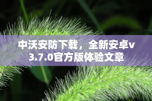 0官方版体验文章图片
