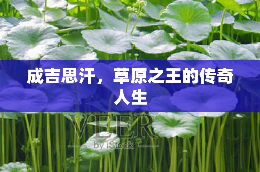 成吉思汗，草原之王的传奇人生