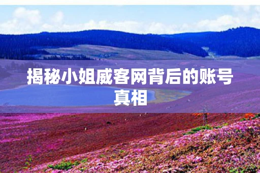 揭秘小姐威客网背后的账号真相