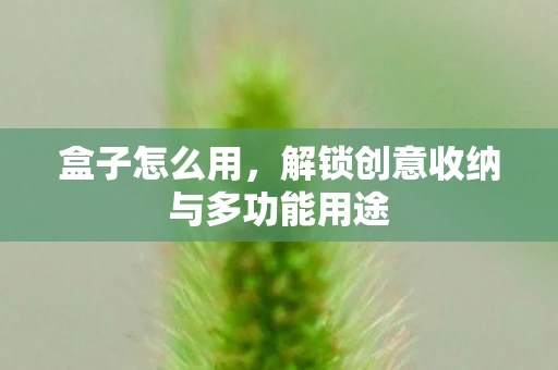 盒子怎么用，解锁创意收纳与多功能用途