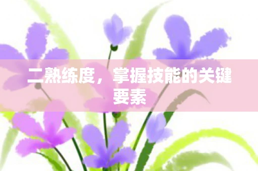 二熟练度，掌握技能的关键要素