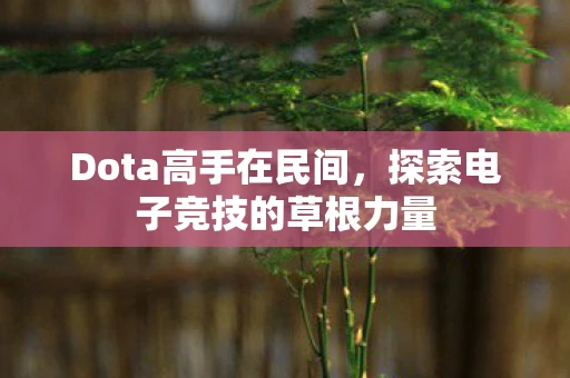 Dota高手在民间，探索电子竞技的草根力量
