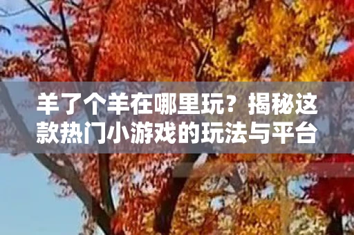羊了个羊在哪里玩？揭秘这款热门小游戏的玩法与平台