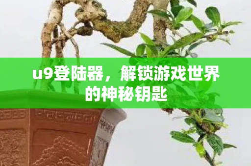 u9登陆器，解锁游戏世界的神秘钥匙