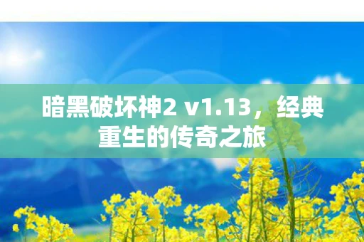 暗黑破坏神2 v1.13，经典重生的传奇之旅