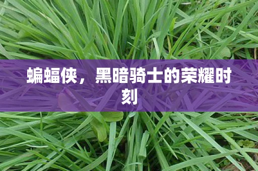 蝙蝠侠，黑暗骑士的荣耀时刻