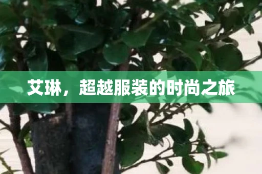 艾琳，超越服装的时尚之旅