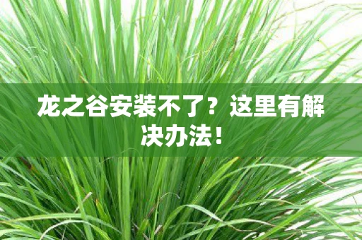 龙之谷安装不了？这里有解决办法！