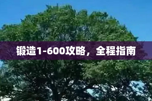 锻造1-600攻略，全程指南