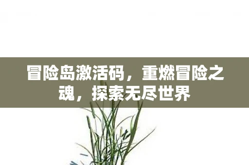 冒险岛激活码，重燃冒险之魂，探索无尽世界