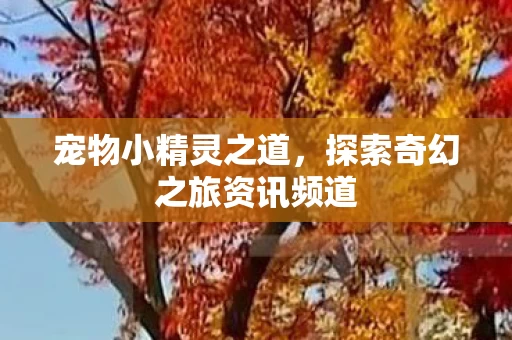 探索奇幻之旅资讯频道图片