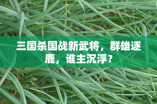 三国杀国战新武将，群雄逐鹿，谁主沉浮？