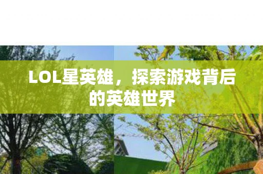 LOL星英雄，探索游戏背后的英雄世界