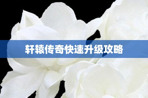 轩辕传奇快速升级攻略