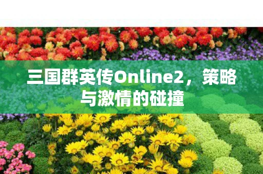 三国群英传Online2，策略与激情的碰撞