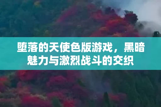 黑暗魅力与激烈战斗的交织图片