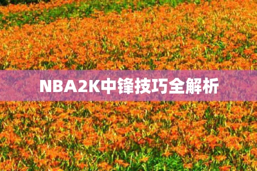 NBA2K中锋技巧全解析
