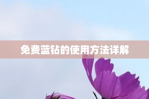 免费蓝钻的使用方法详解