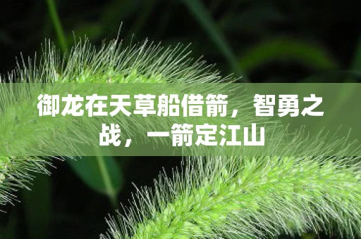 御龙在天草船借箭，智勇之战，一箭定江山