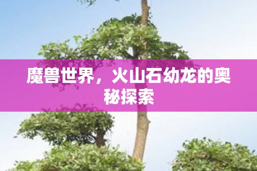火山石幼龙的奥秘探索图片