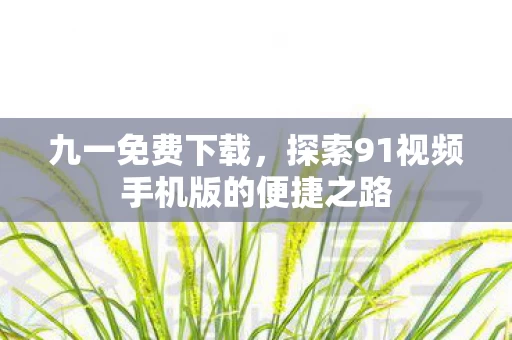 探索91视频手机版的便捷之路图片