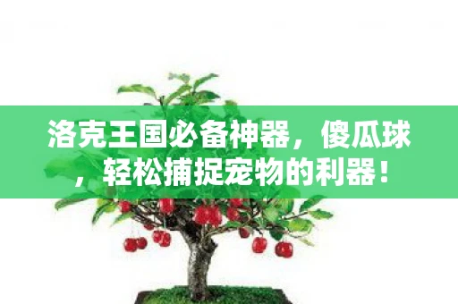 洛克王国必备神器，傻瓜球，轻松捕捉宠物的利器！