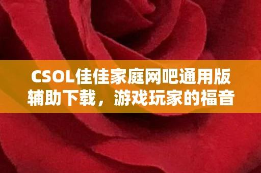 CSOL佳佳家庭网吧通用版辅助下载，游戏玩家的福音