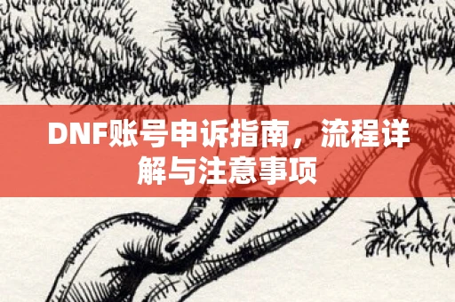 DNF账号申诉指南，流程详解与注意事项