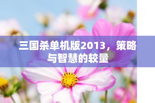 三国杀单机版2013，策略与智慧的较量