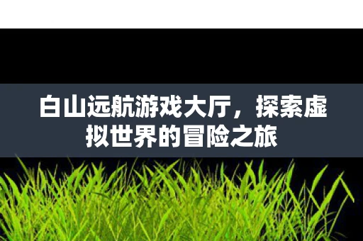 白山远航游戏大厅，探索虚拟世界的冒险之旅