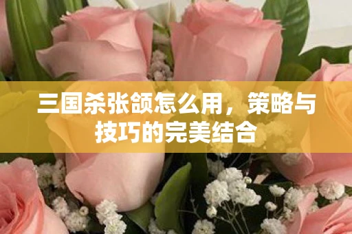 三国杀张颌怎么用，策略与技巧的完美结合