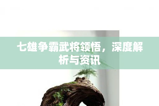 七雄争霸武将领悟，深度解析与资讯