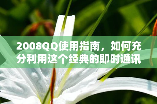 2008QQ使用指南，如何充分利用这个经典的即时通讯工具