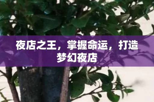 夜店之王，掌握命运，打造梦幻夜店