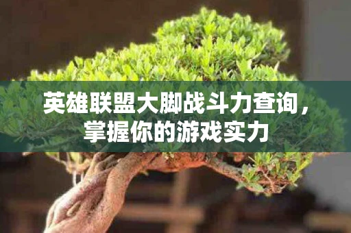 英雄联盟大脚战斗力查询，掌握你的游戏实力