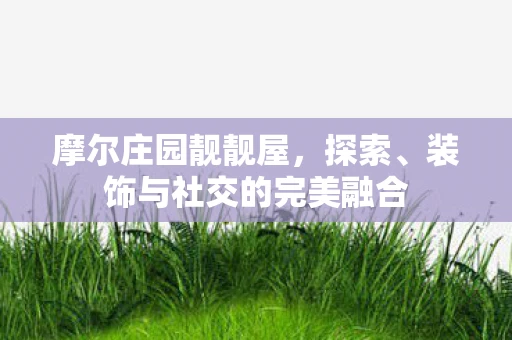 摩尔庄园靓靓屋，探索、装饰与社交的完美融合