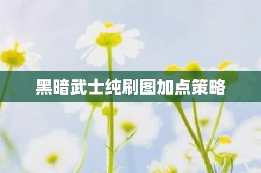 黑暗武士纯刷图加点策略