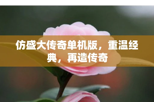 仿盛大传奇单机版，重温经典，再造传奇