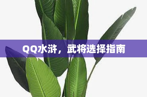 QQ水浒，武将选择指南