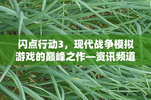 现代战争模拟游戏的巅峰之作图片