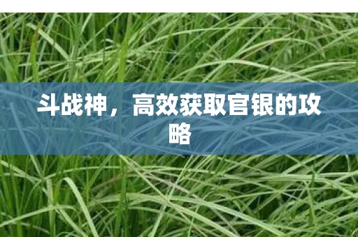 斗战神，高效获取官银的攻略