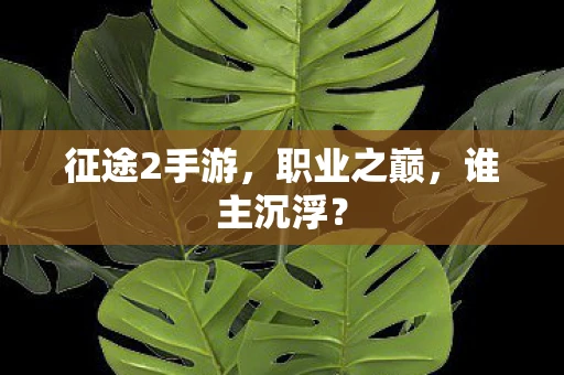 征途2手游，职业之巅，谁主沉浮？