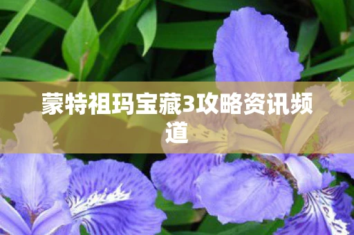 蒙特祖玛宝藏3攻略资讯频道