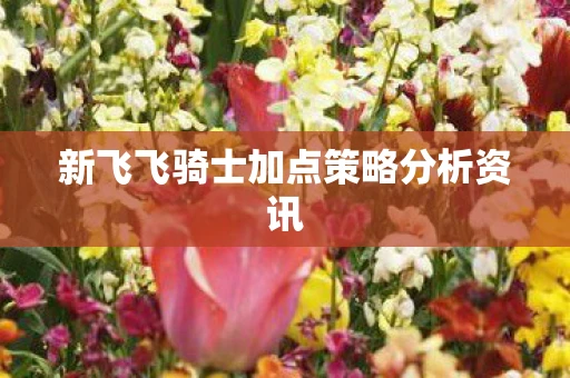 新飞飞骑士加点策略分析资讯