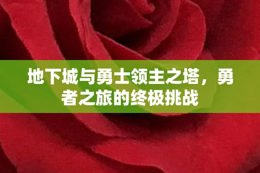 地下城与勇士领主之塔，勇者之旅的终极挑战